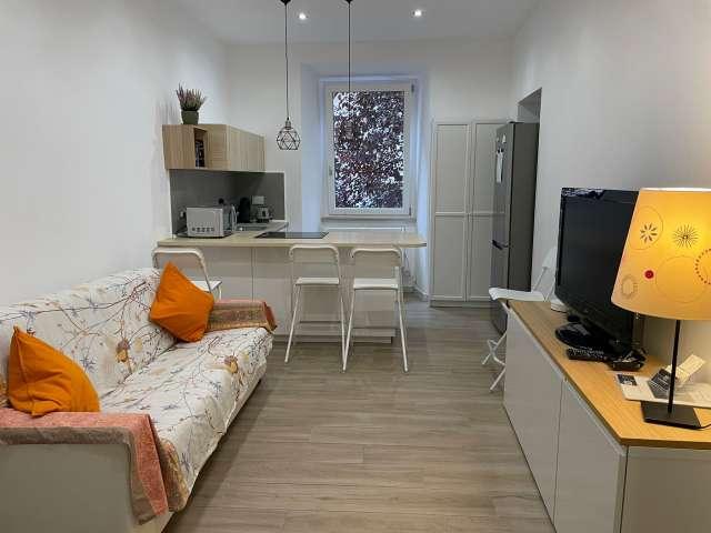 Appartamento con 2 camere da letto in affitto nel Rione Prati, Roma