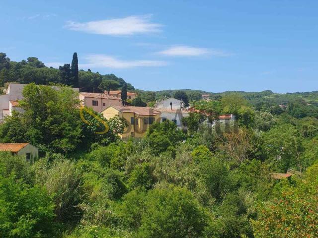 Appartamento a rosignano marittimo