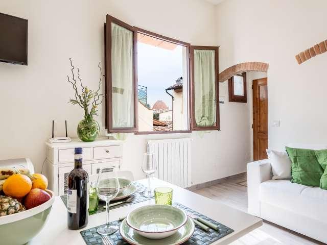 Appartamento arioso con 2 camere da letto in affitto a San Marco, Firenze