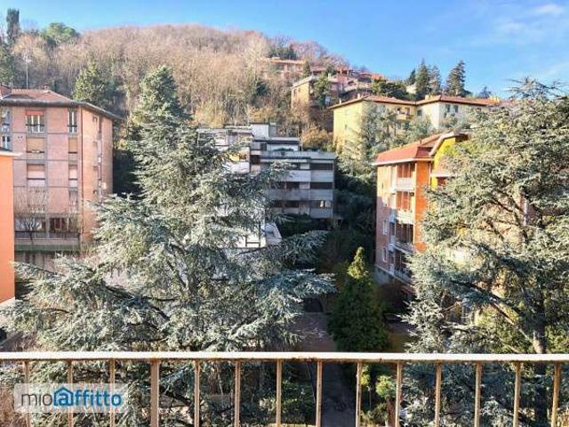 Appartamento arredato Colli