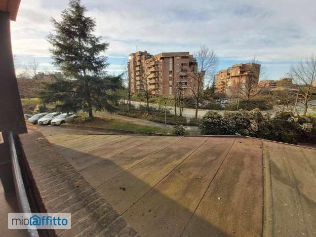 Appartamento arredato con terrazzo Meridiana