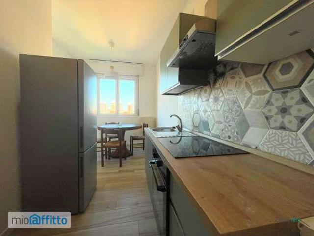 Appartamento arredato con terrazzo Milano