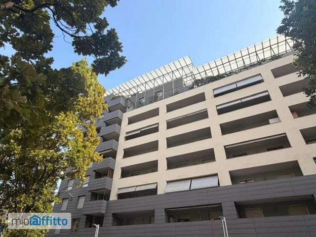 Appartamento arredato con terrazzo Mirafiori nord