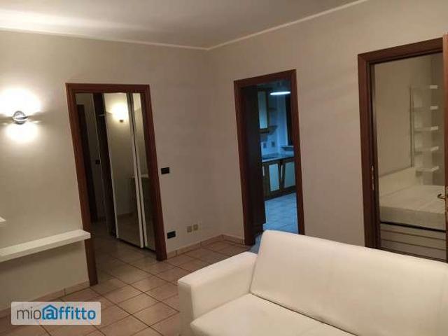 Appartamento arredato con terrazzo Mirafiori sud
