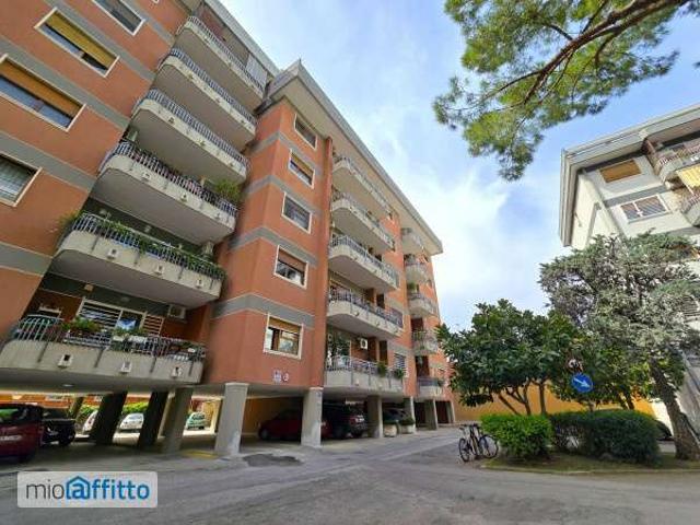 Appartamento arredato con terrazzo Bari