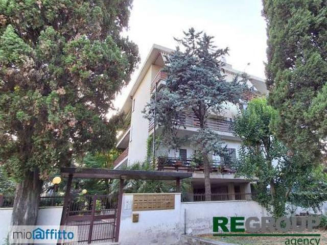 Appartamento arredato con terrazzo Boccea, torrevecchia, pineta sacchetti, selva candida, ottavia