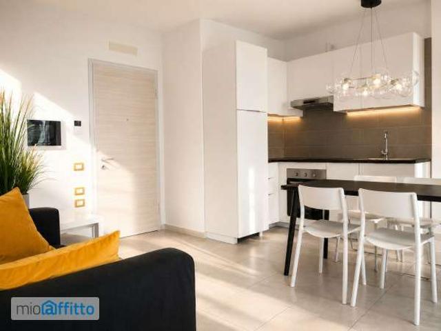 Appartamento arredato con terrazzo Bolognina