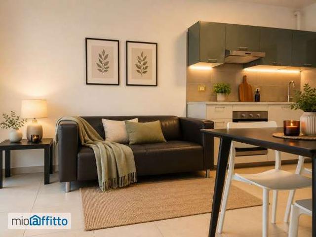 Appartamento arredato con terrazzo Bolognina