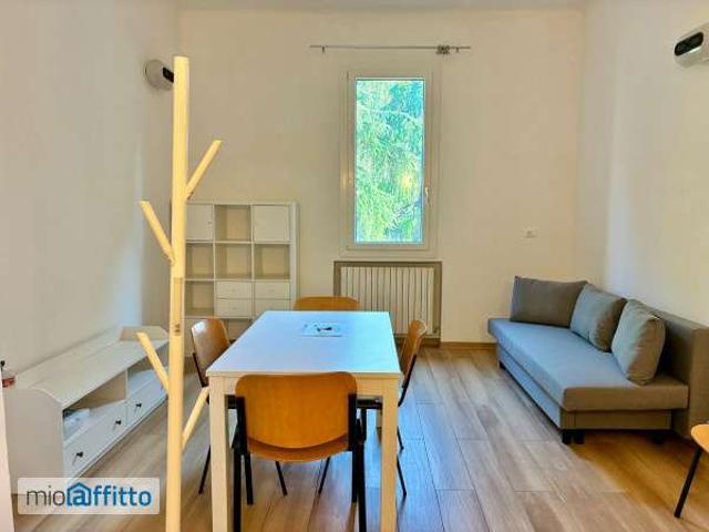 Appartamento arredato con terrazzo Bolognina
