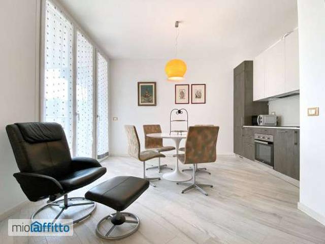Appartamento arredato con terrazzo Bolognina