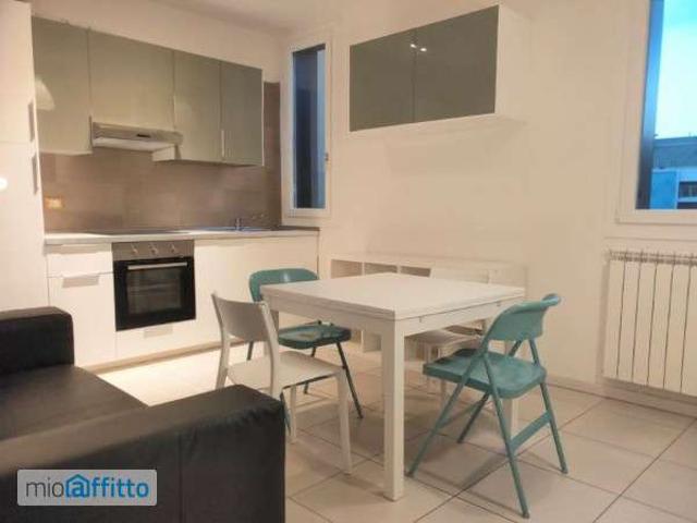 Appartamento arredato con terrazzo Bolognina