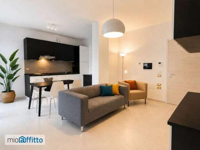 Appartamento arredato con terrazzo Bolognina