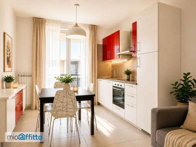 Appartamento arredato con terrazzo Bolognina