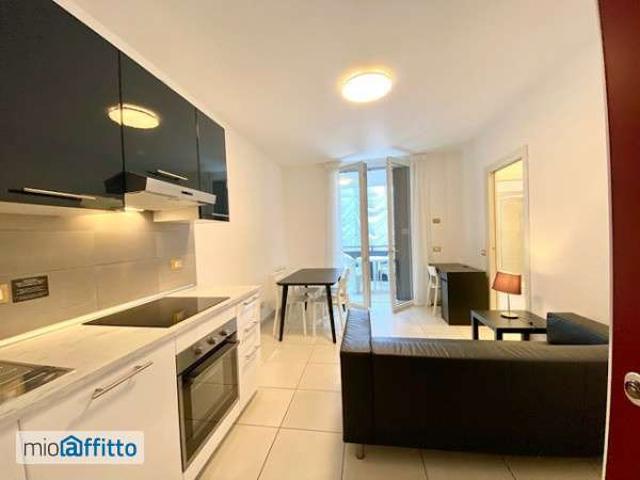 Appartamento arredato con terrazzo Bolognina