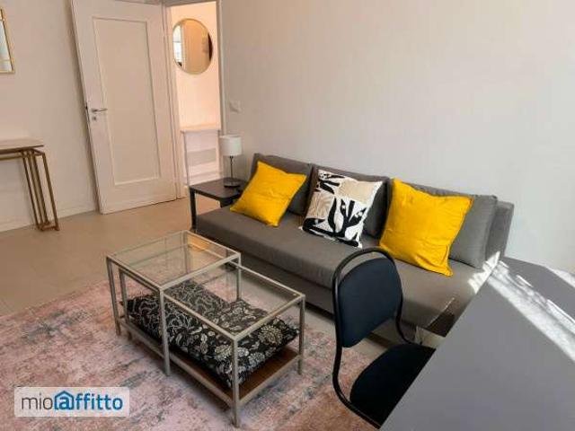 Appartamento arredato con terrazzo Borgo panigale
