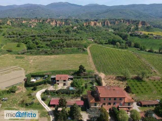 Appartamento arredato con terrazzo Castelfranco Di Sopra