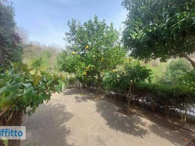 Appartamento arredato con terrazzo Capezzano cologna