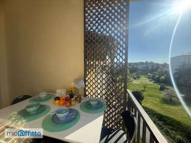 Appartamento arredato con terrazzo Centro