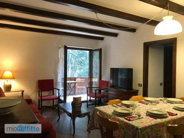 Appartamento arredato con terrazzo Centro