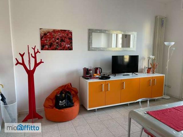 Appartamento arredato con terrazzo Centro