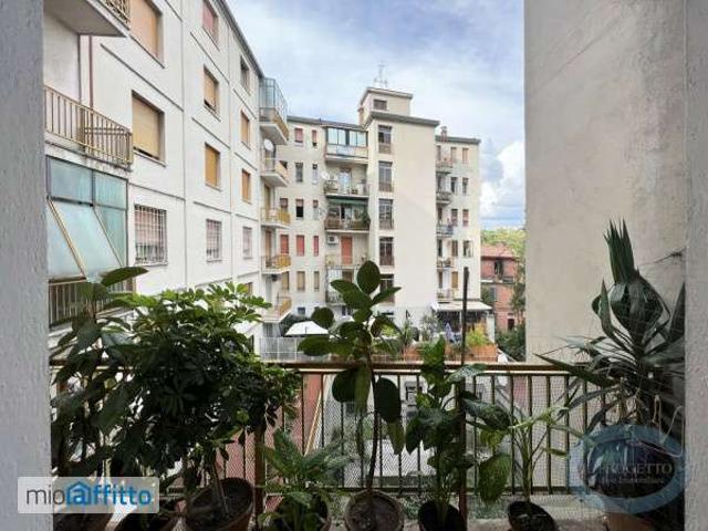 Appartamento arredato con terrazzo Centro