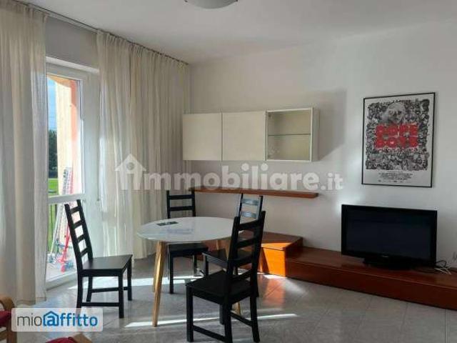 Appartamento arredato con terrazzo Centro