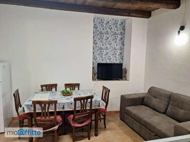 Appartamento arredato con terrazzo Centro