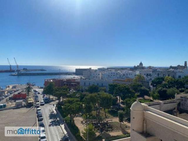 Appartamento arredato con terrazzo Centro