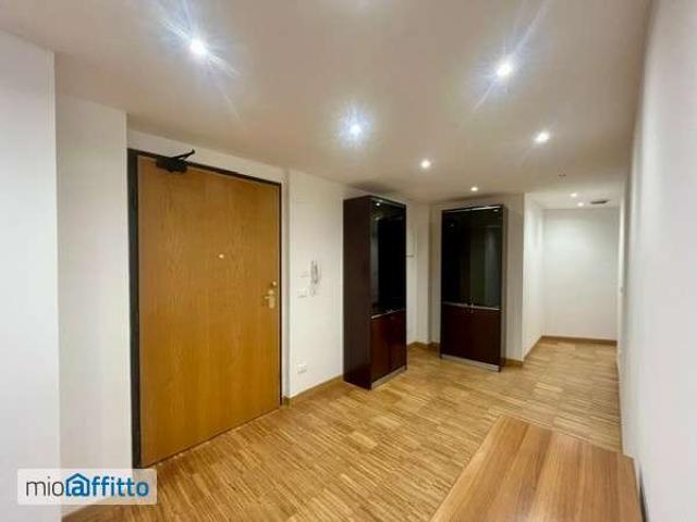 Appartamento arredato con terrazzo Centro
