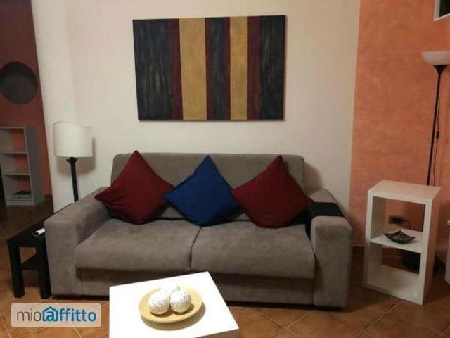 Appartamento arredato con terrazzo Centro