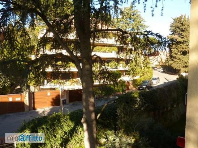 Appartamento arredato con terrazzo Flaminio, fleming, vigna clara, camilluccia