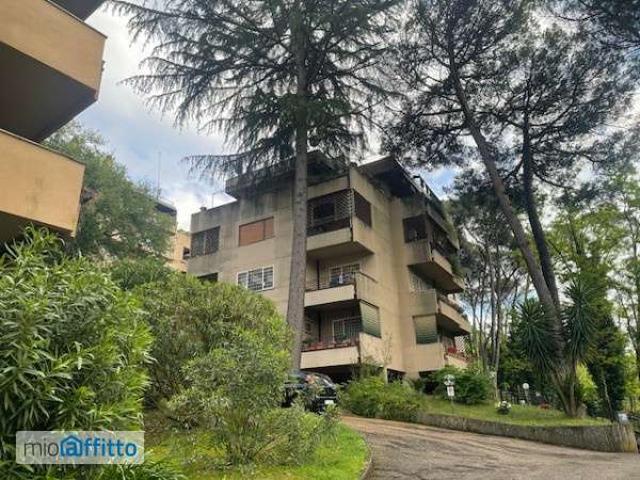 Appartamento arredato con terrazzo Flaminio, fleming, vigna clara, camilluccia