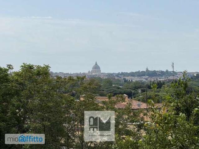 Appartamento arredato con terrazzo Flaminio, fleming, vigna clara, camilluccia