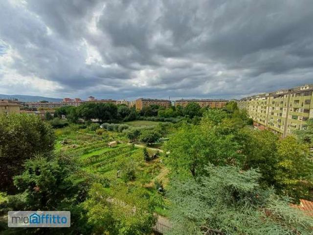 Appartamento arredato con terrazzo Isolotto e legnaia