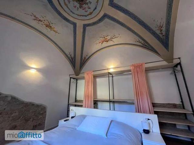 Appartamento arredato con terrazzo Isolotto e legnaia