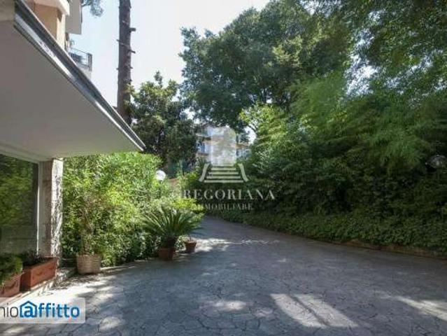Appartamento arredato con terrazzo Parioli, pinciano