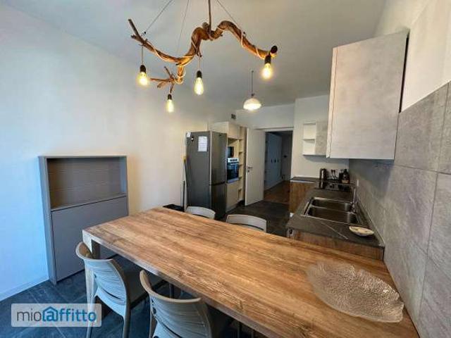 Appartamento arredato con terrazzo Piacenza