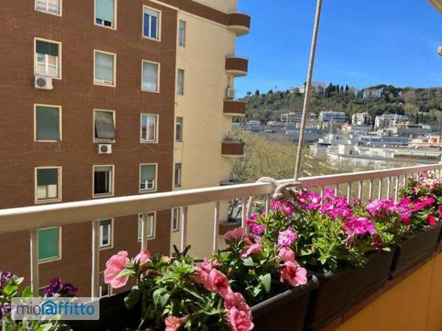 Appartamento arredato con terrazzo Prati, delle vittorie, borgo pio