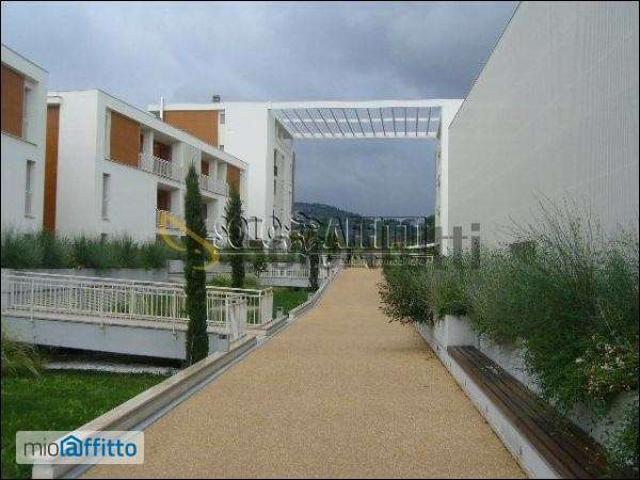 Appartamento arredato con terrazzo Rifredi