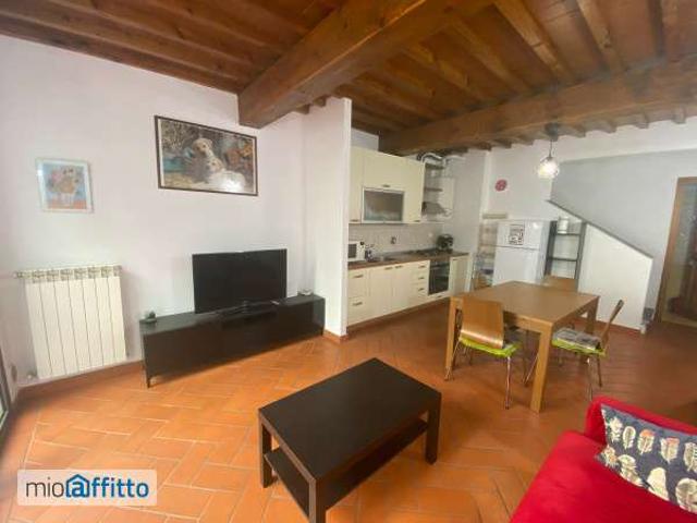 Appartamento arredato con terrazzo Rifredi