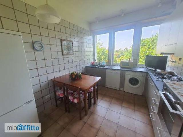 Appartamento arredato con terrazzo Saffi