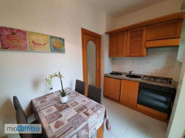 Appartamento arredato con terrazzo San salvario