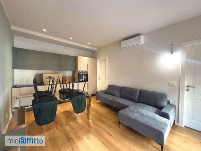 Appartamento arredato con terrazzo San salvario