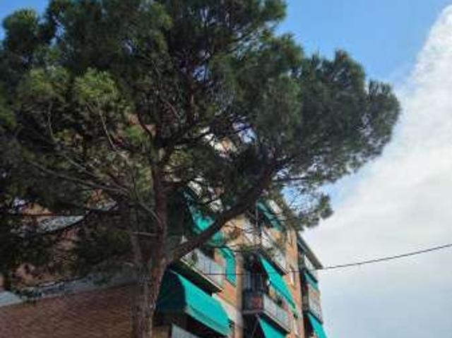 Appartamento arredato con terrazzo Santa viola