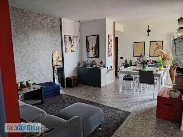 Appartamento arredato con terrazzo Segrate