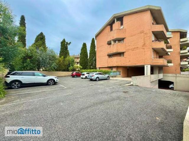 Appartamento arredato con terrazzo Tor vergata, morena, romanina