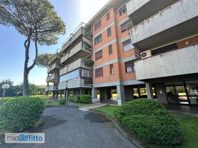 Appartamento arredato con terrazzo Tor vergata, morena, romanina