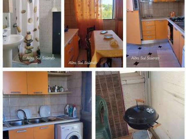 Appartamento arredato con terrazzo Torre lapillo