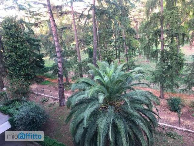 Appartamento arredato con terrazzo Trieste, salario