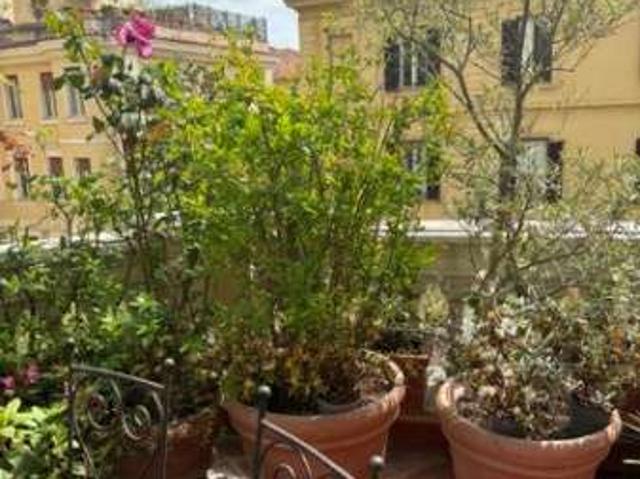 Appartamento arredato con terrazzo Trieste, salario